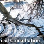 Clinical Consultation by Fern Snogren