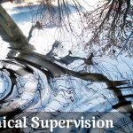 Clinical Supervision by Fern Snogren